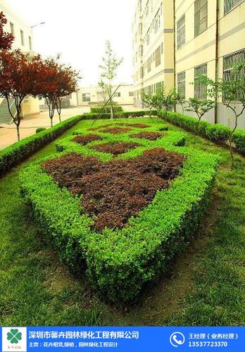 深圳馨卉园林 绿化带施工方案的精细化实践与专业探索